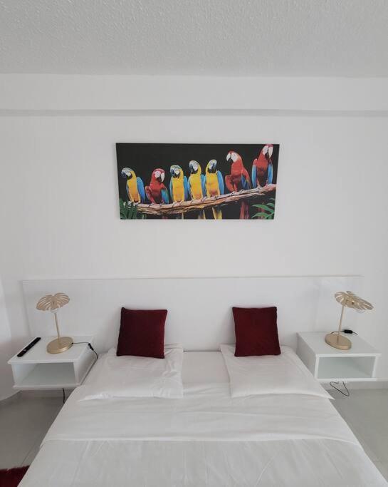 Hello Guyane, Suite Collection Кайенна Экстерьер фото